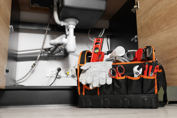 Best Emergency Plumber  in Ripon, CA